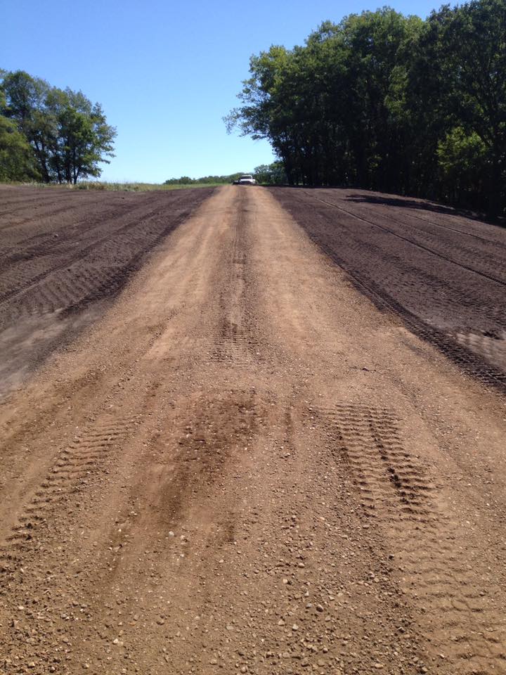 16174601 413036959031381 7962148451067493187 n